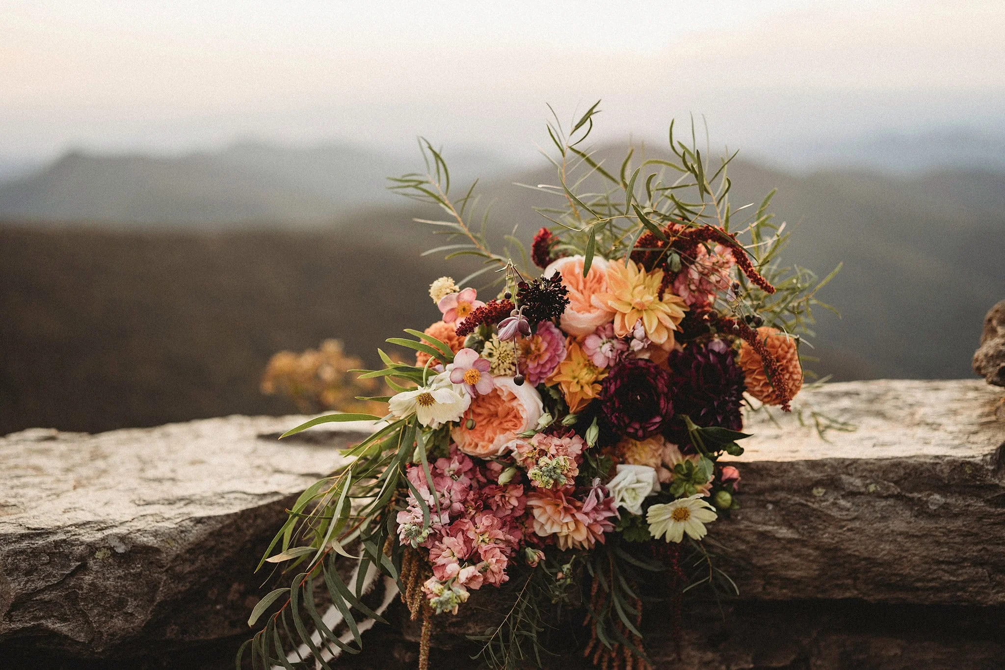 DSC01597-Edit copy.jpgflowers_resized