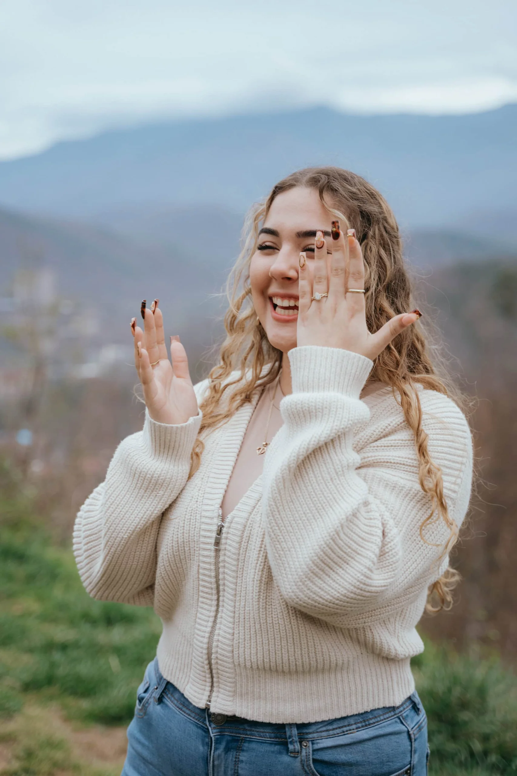Proposal on Gatlinburg overlook